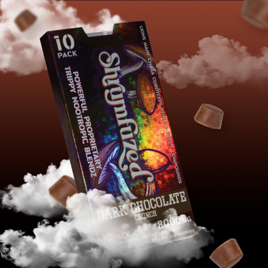 Shrumfuzed 10pk Chocolates 800mg – Dark Chocolate Crunch